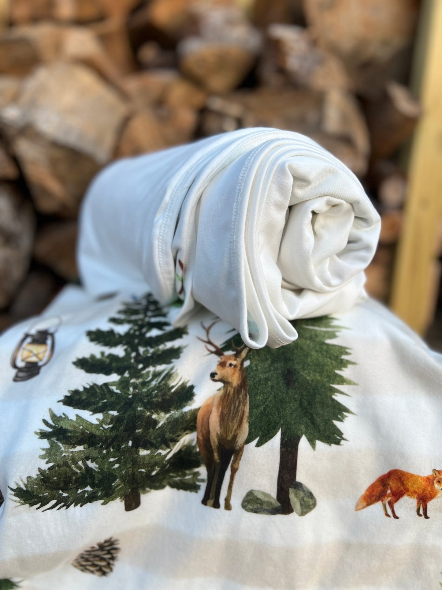 IMG_0366.jpg__PID:2d87ed8e-12ad-491f-ab49-fddc12ef99f4